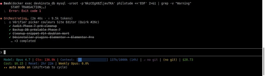 Capture écran terminal avec erreur Docker MySQL